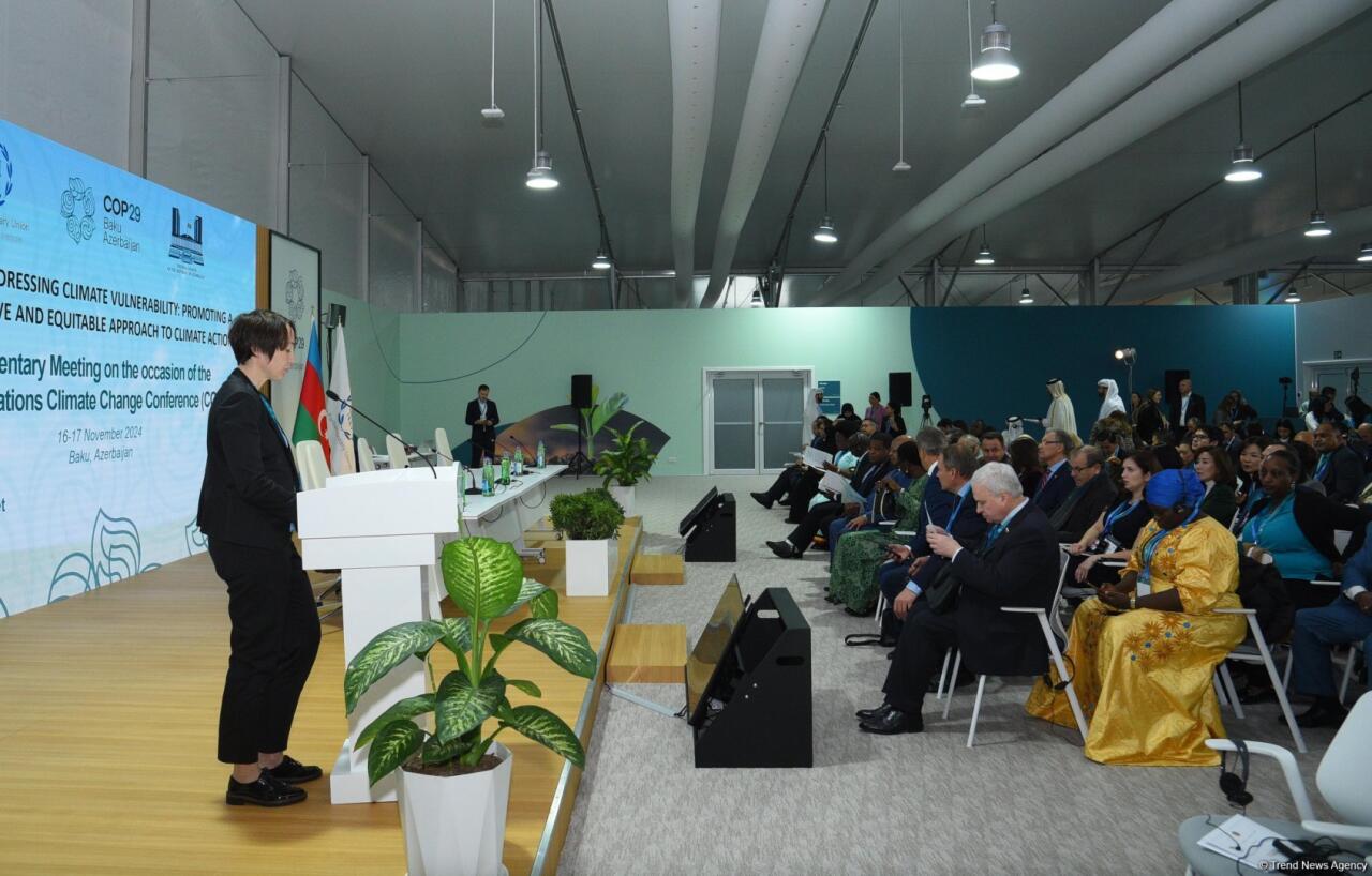 В Баку завершилась Парламентская встреча в рамках COP29