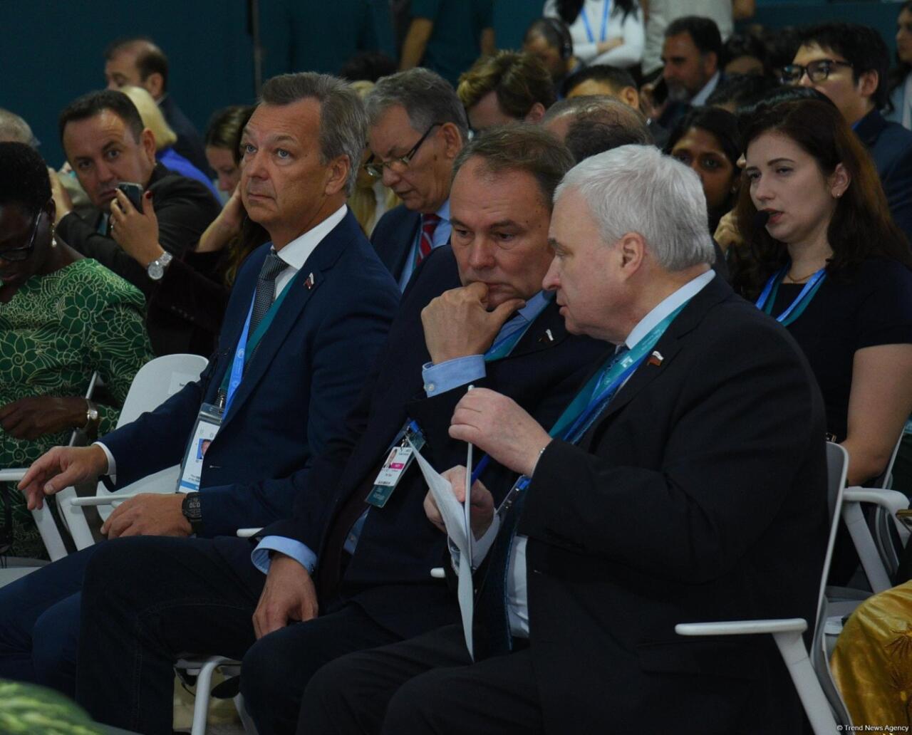 В Баку завершилась Парламентская встреча в рамках COP29
