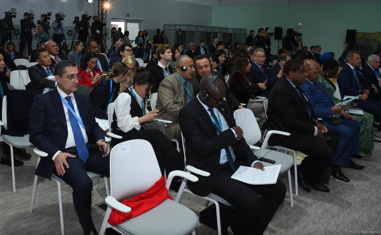 В Баку завершилась Парламентская встреча в рамках COP29