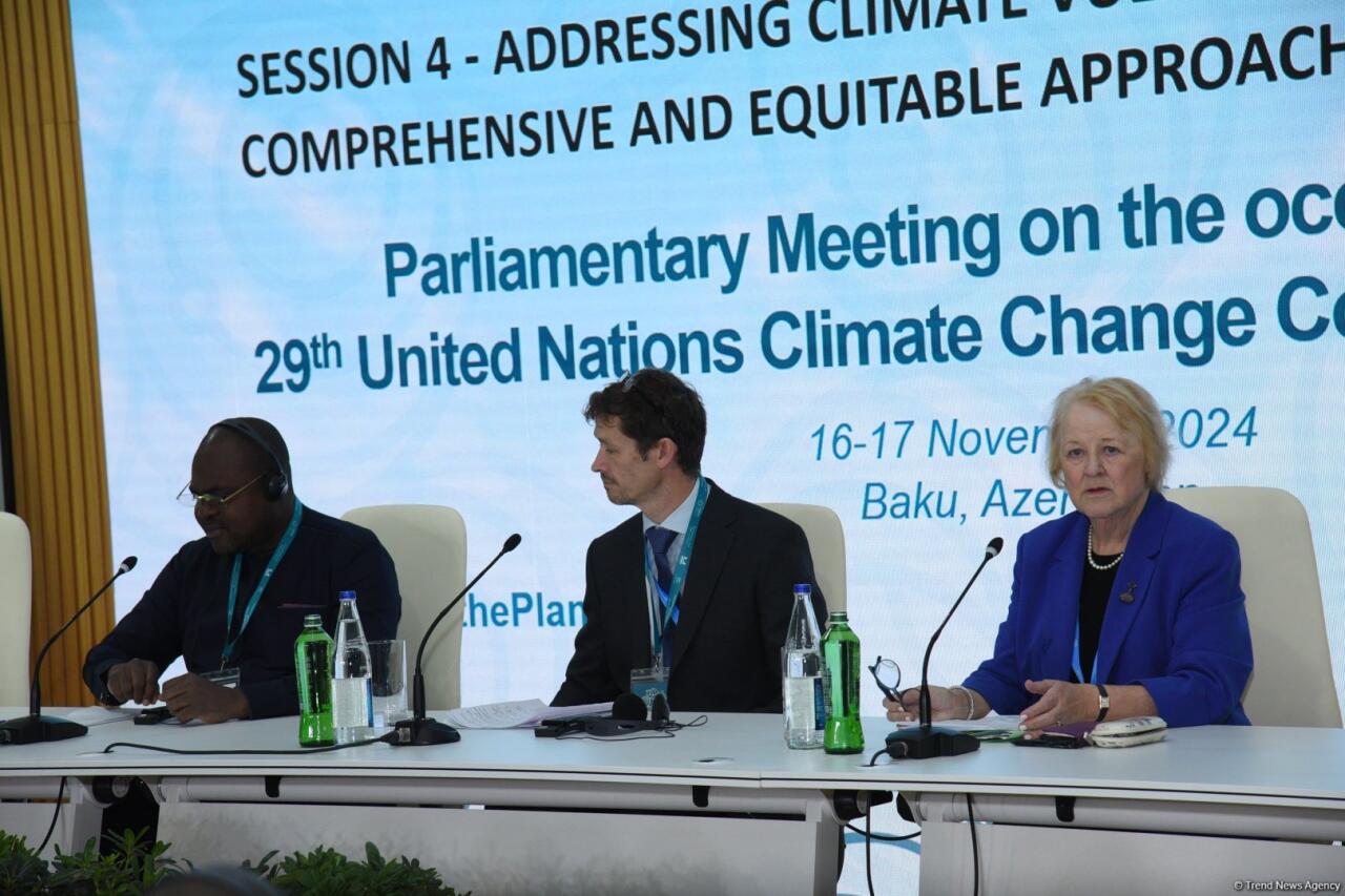 В Баку завершилась Парламентская встреча в рамках COP29