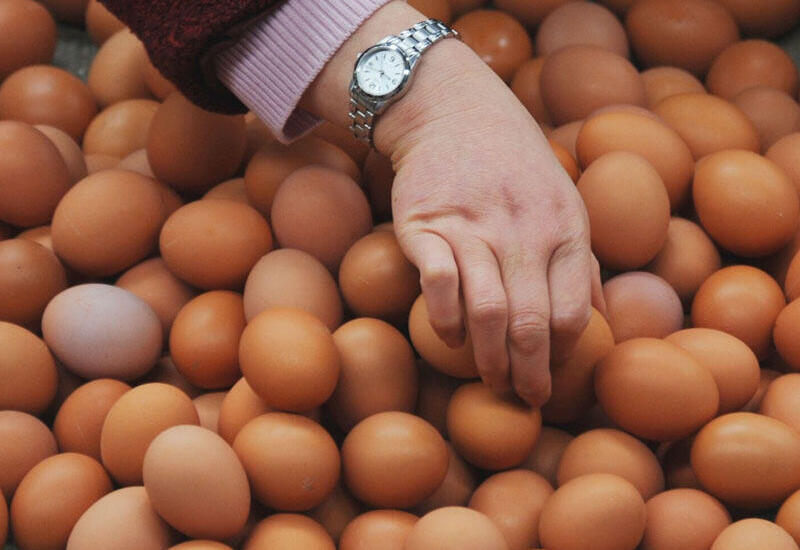 Azərbaycanda yumurta bahalaşdı