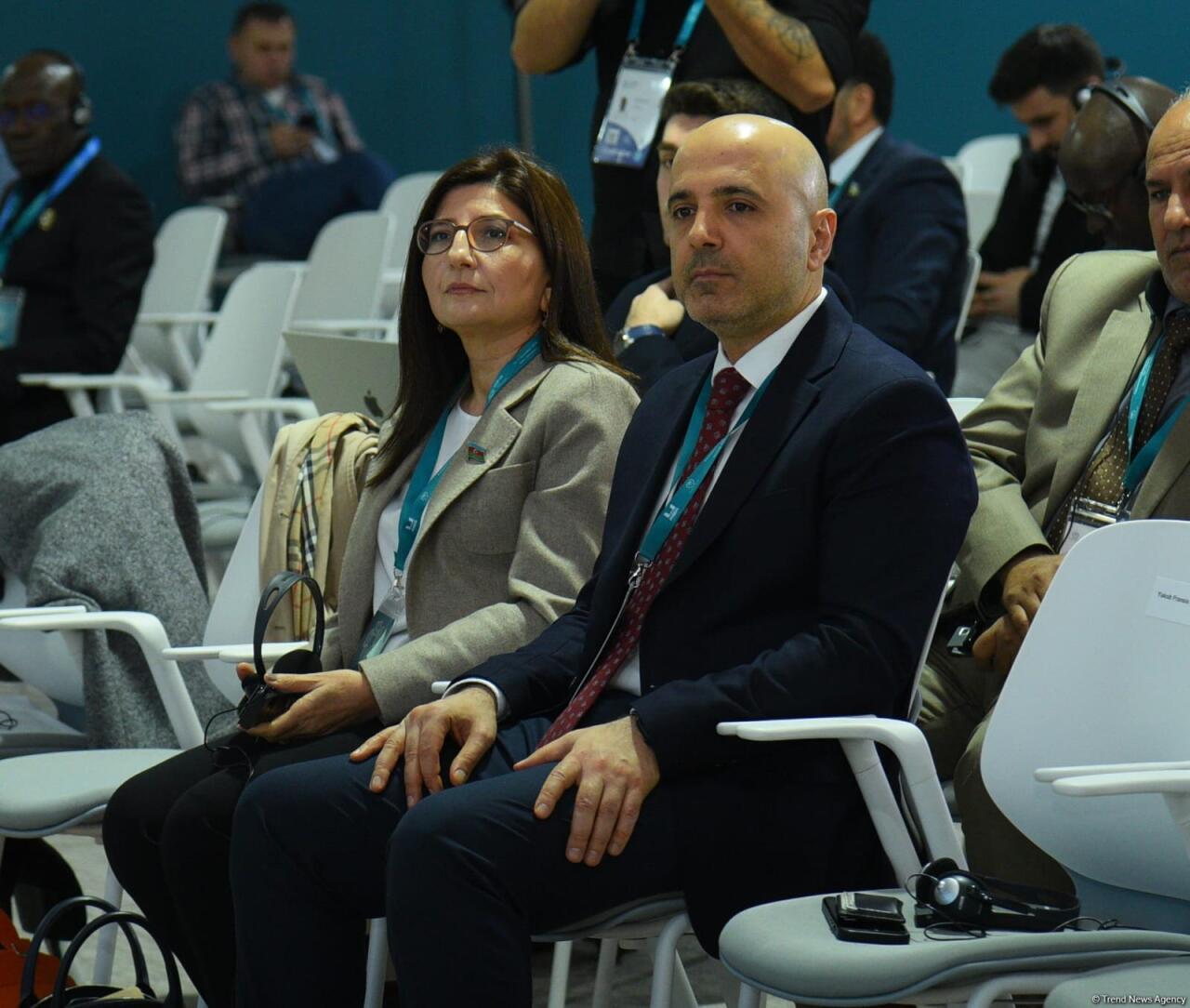 В Баку завершилась Парламентская встреча в рамках COP29
