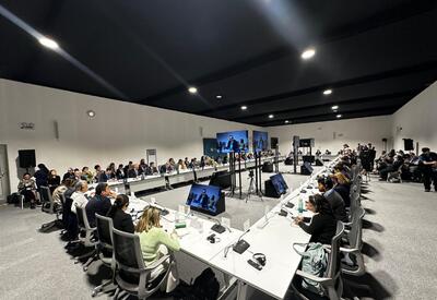 Тюркское единство на COP29 – ОТГ укрепляет глобальную климатическую повестку