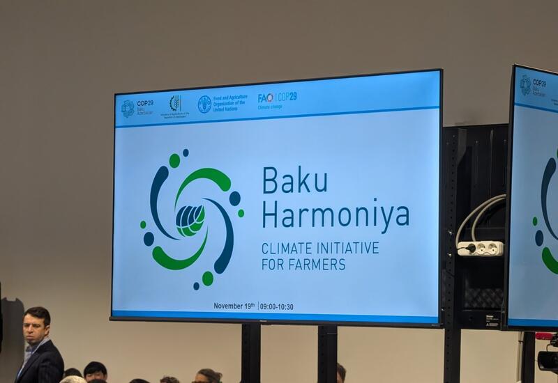 В рамках COP29 состоялось мероприятие по запуску климатической инициативы "Baku Harmoniya"