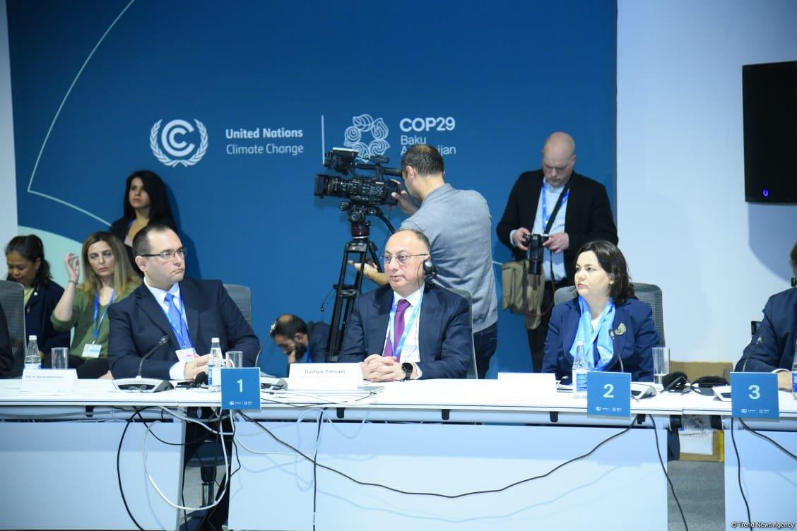 В рамках COP29 состоялось мероприятие по запуску климатической инициативы "Baku Harmoniya"
