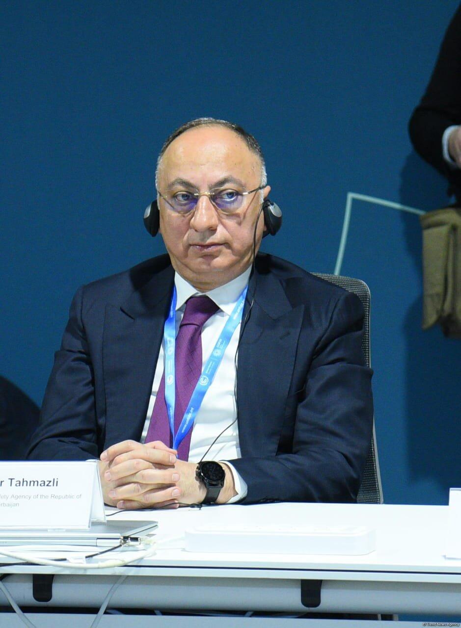 В рамках COP29 состоялось мероприятие по запуску климатической инициативы "Baku Harmoniya"