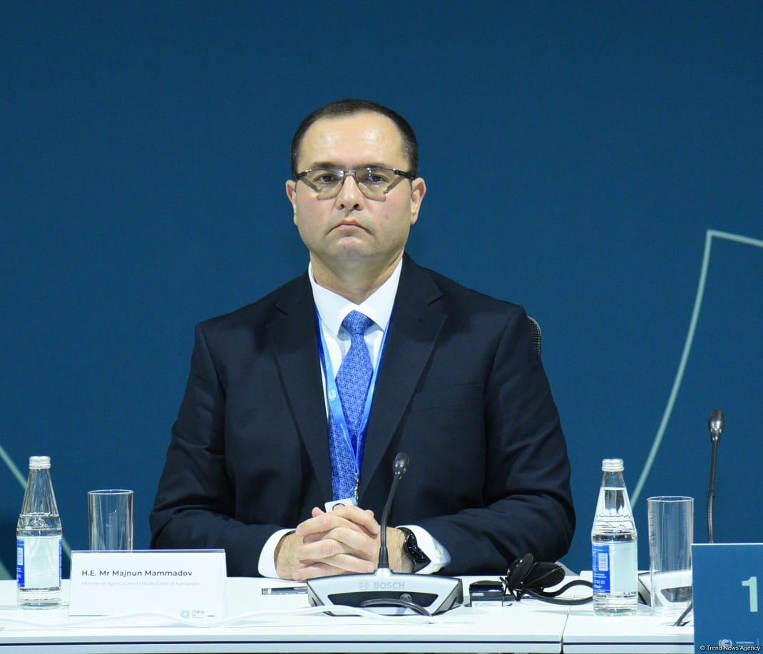 В рамках COP29 состоялось мероприятие по запуску климатической инициативы "Baku Harmoniya"