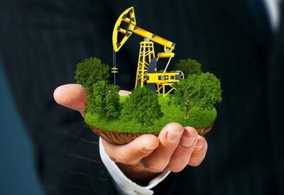 Нефть, газ и ВИЭ: как Баку задает тон на COP29 - АНАЛИТИКА от Лейлы Таривердиевой