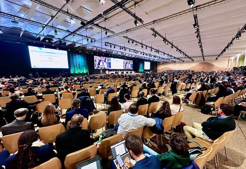 COP29-da 300 milyard dollarlıq iqlim maliyyəsi ilə bağlı razılıq əldə edildi