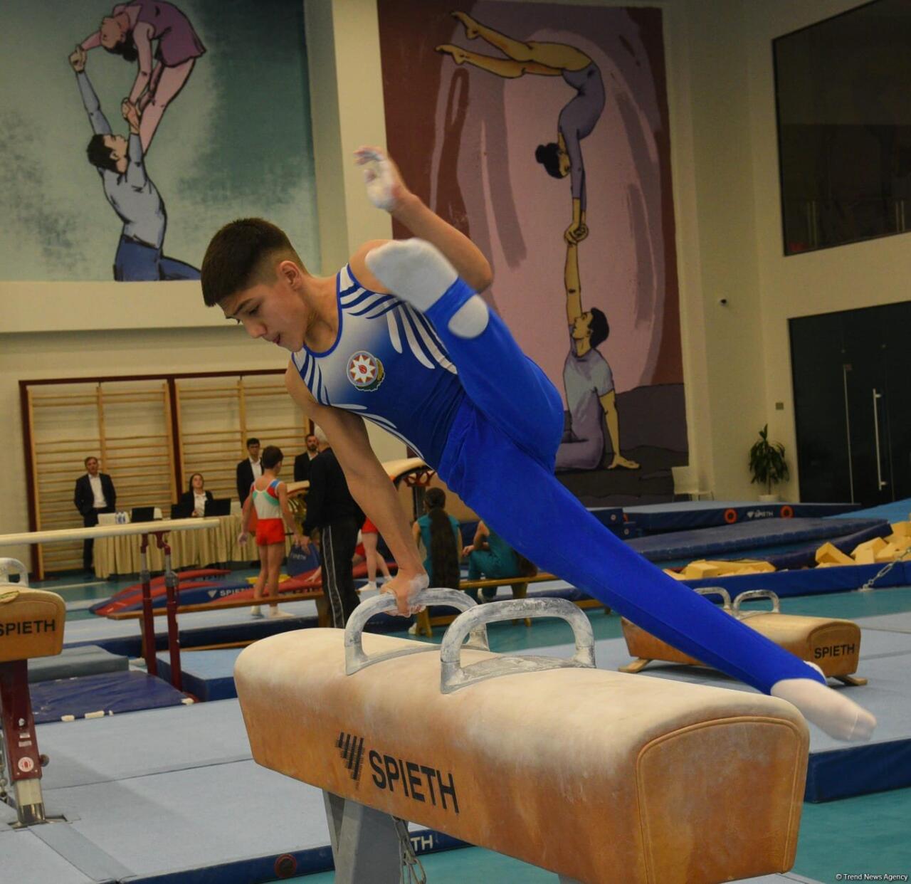 Kişi idman gimnastikası üzrə 29-cu, qadın idman gimnastikası üzrə 8-ci ölkə çempionatı və birinciliyi davam edir