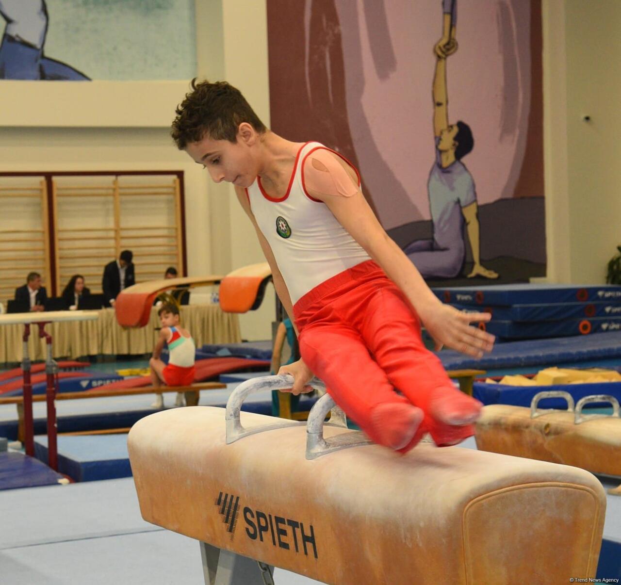 Kişi idman gimnastikası üzrə 29-cu, qadın idman gimnastikası üzrə 8-ci ölkə çempionatı və birinciliyi davam edir