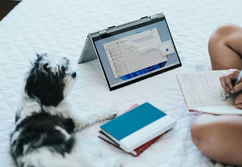 Доля Windows 11 неожиданно упала