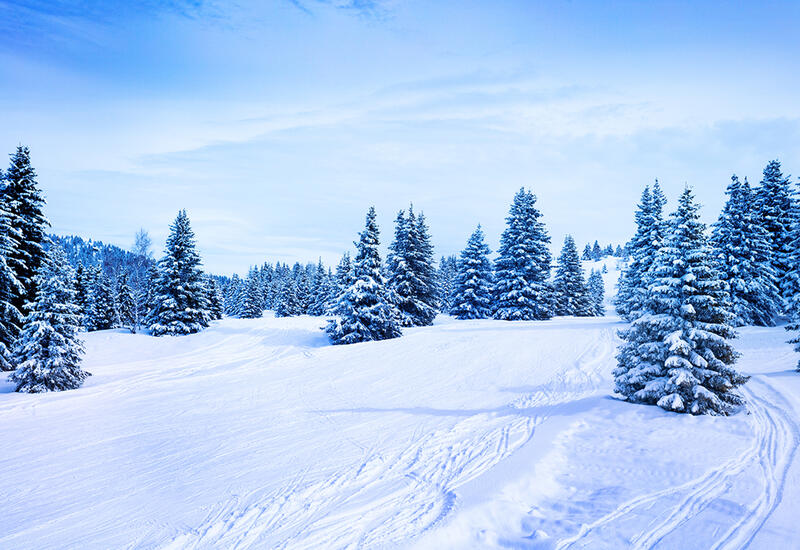 Первый снег стал причиной дорожного коллапса в Швеции