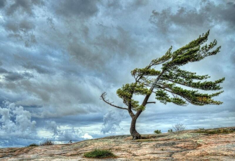 BDYPİ-nin hava şəraiti ilə bağlı sürücülərə MÜRACİƏTİ