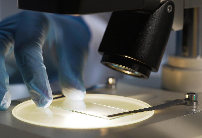 Найдена новая брешь в защите супербактерий от антибиотиков