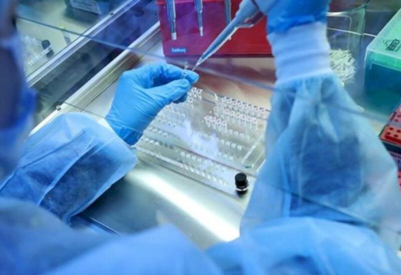 Yeni virus təhlükəsi