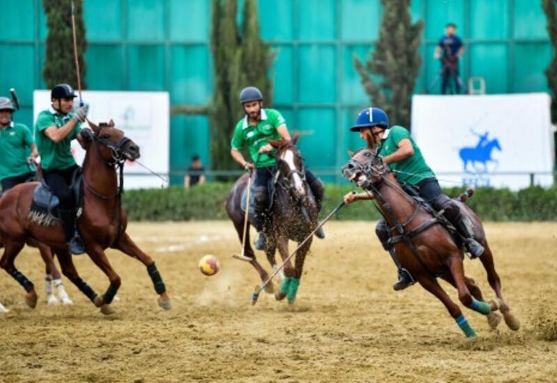 Azərbaycan Atçılıq Federasiyasında yeni təyinat olub