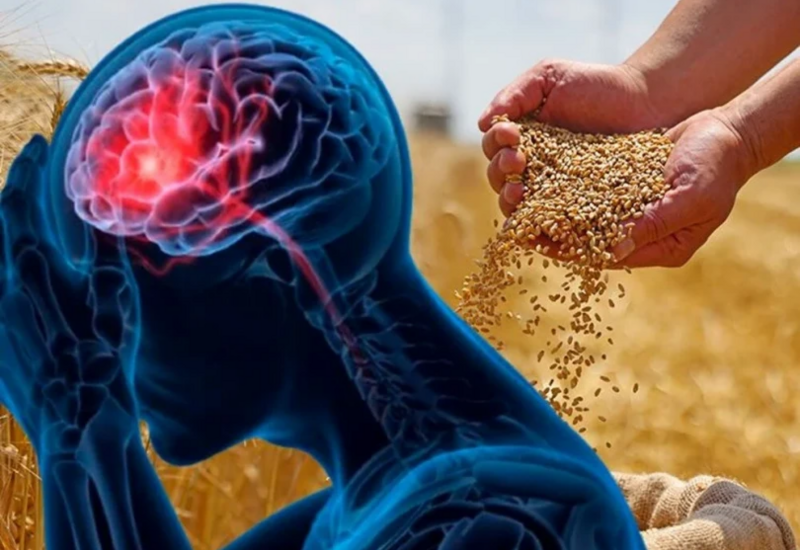 "Bədənin fabriki"ni fəallaşdıran 4 qayda