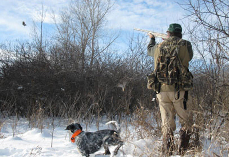 Azərbaycanda ov etmək istəyənlərin