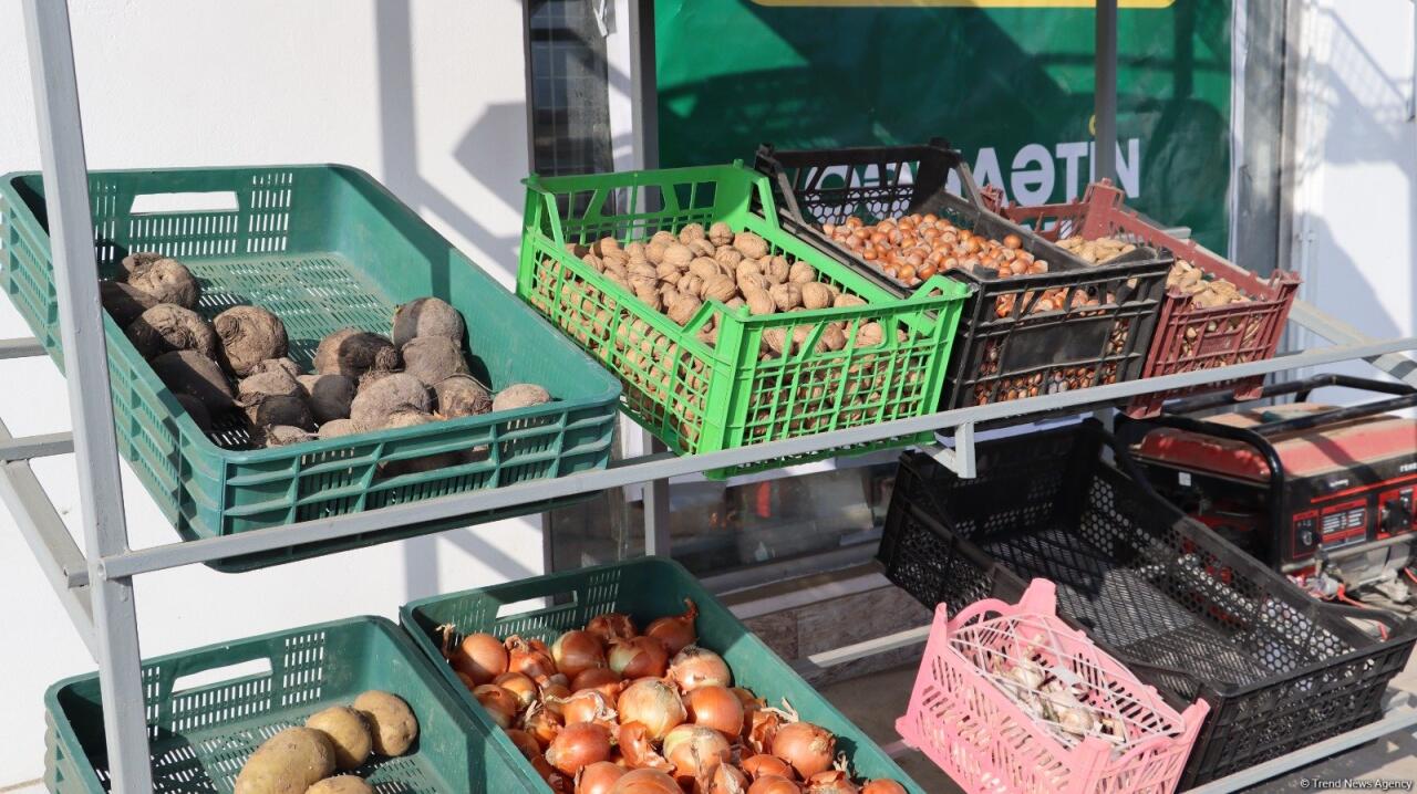 Ballıcada həyat canlanır