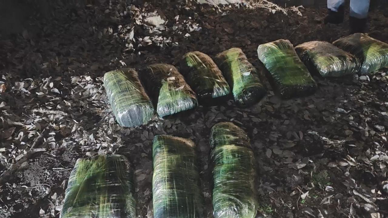 Polis 33 kiloqram heroin və marixuana aşkarladı