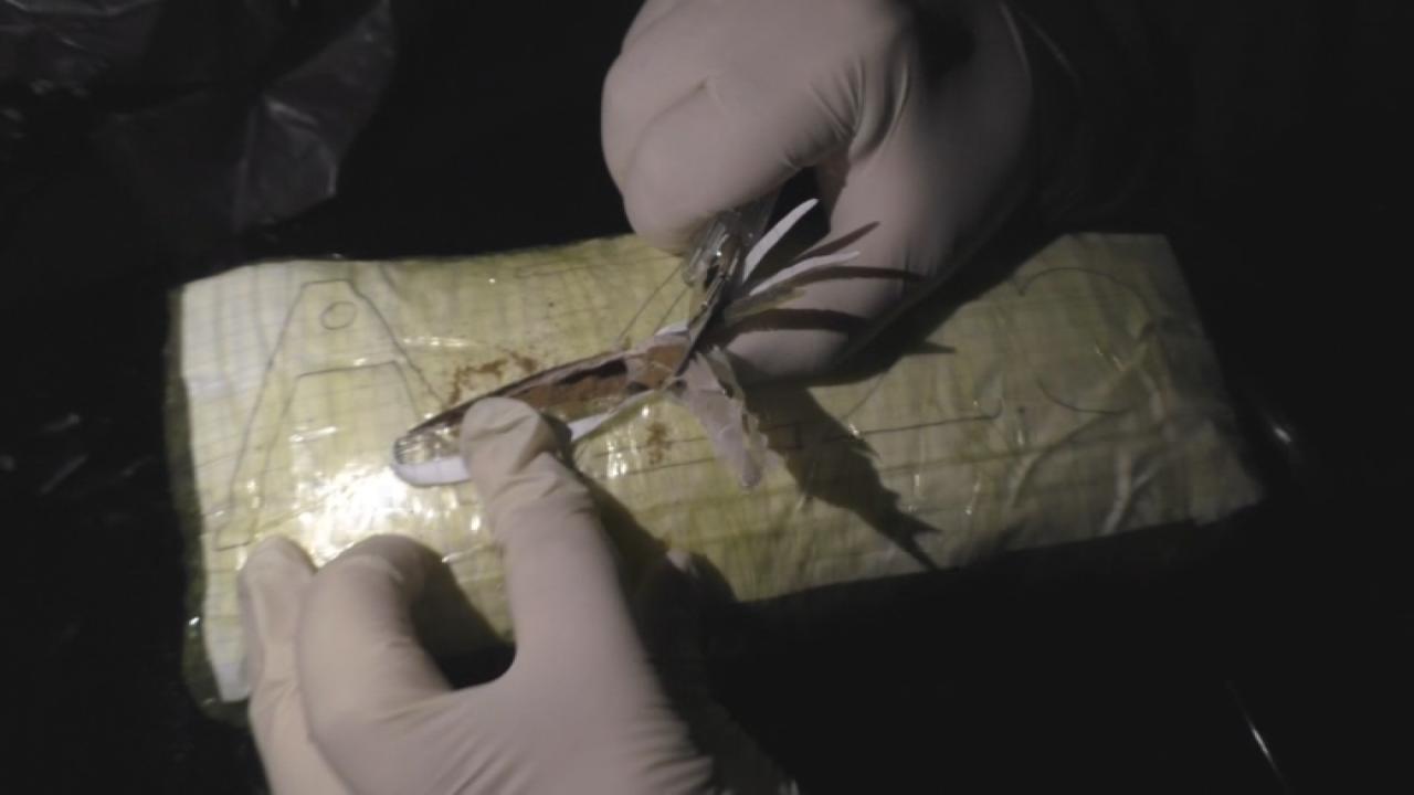 Polis 33 kiloqram heroin və marixuana aşkarladı