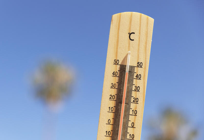 Ученые предупредили об опасностях глобального потепления