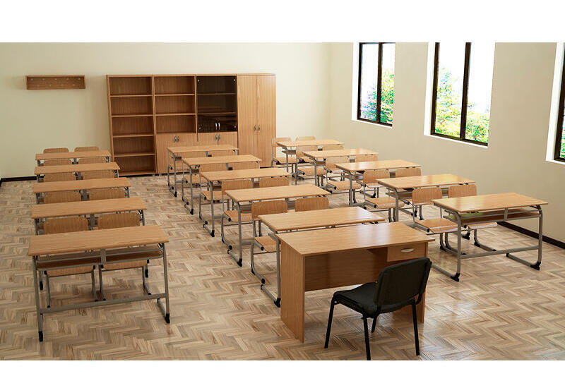 Azərbaycanda məktəbin dəhlizində xoruz gəzir, həyətdə qoyunlar otlayır