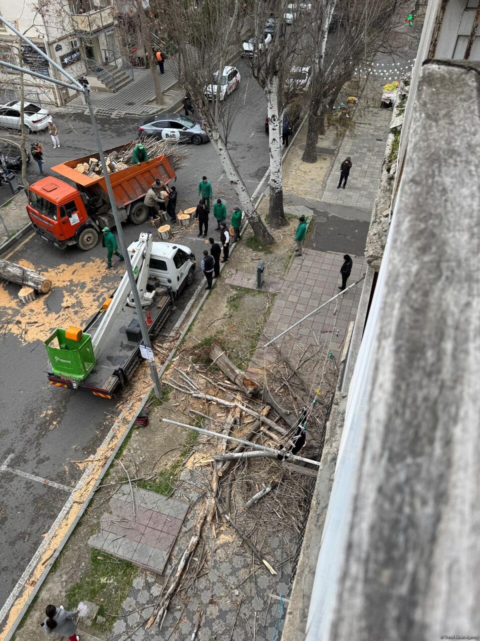 Bakının mərkəzində güclü külək nəticəsində 35-ə yaxın ağac və budaq qırılıb