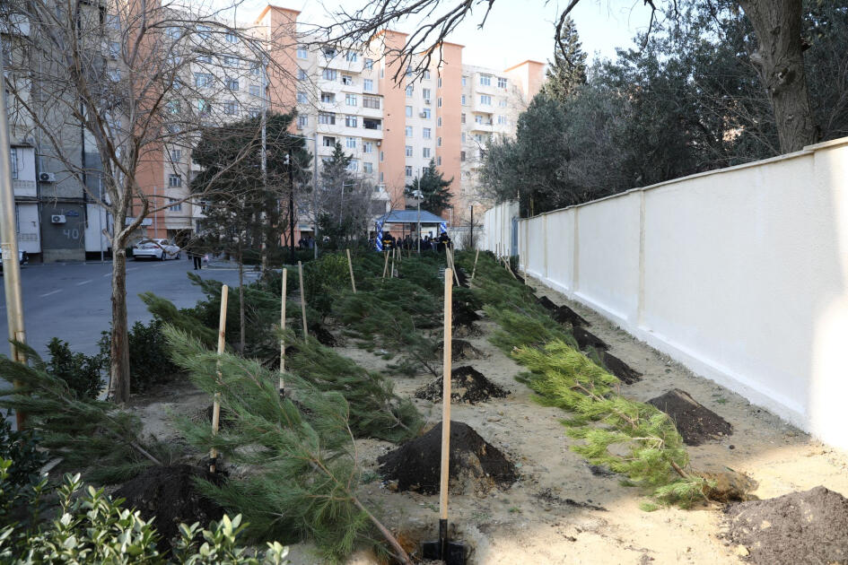 В Низаминском районе Баку сдан в эксплуатацию еще один благоустроенный двор