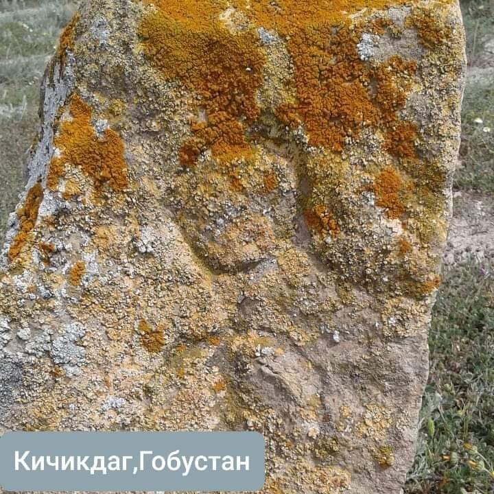 Тамги в Азербайджане – древний ключ от кода тюркской идентичности