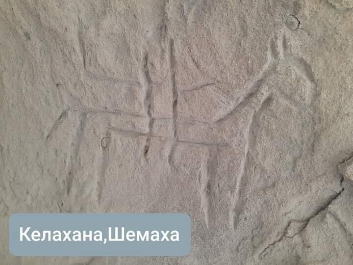 Тамги в Азербайджане – древний ключ от кода тюркской идентичности