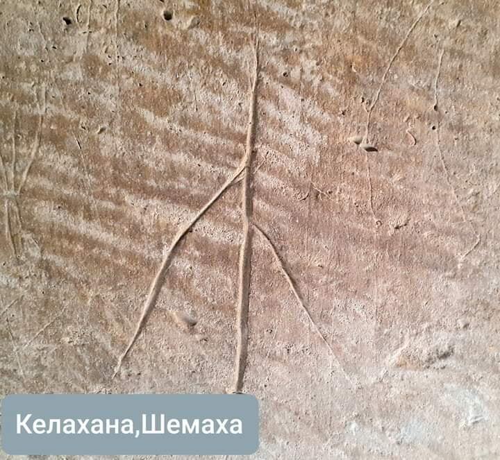 Тамги в Азербайджане – древний ключ от кода тюркской идентичности