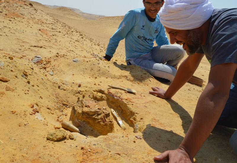 Египетские археологи обнаружили редкую находку