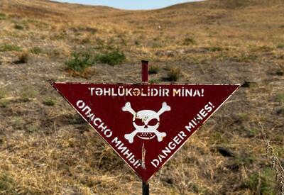 Обнародовано число жертв мин за 30 лет