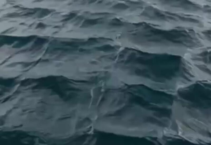 Турецкие рыбаки засняли удивительное явление