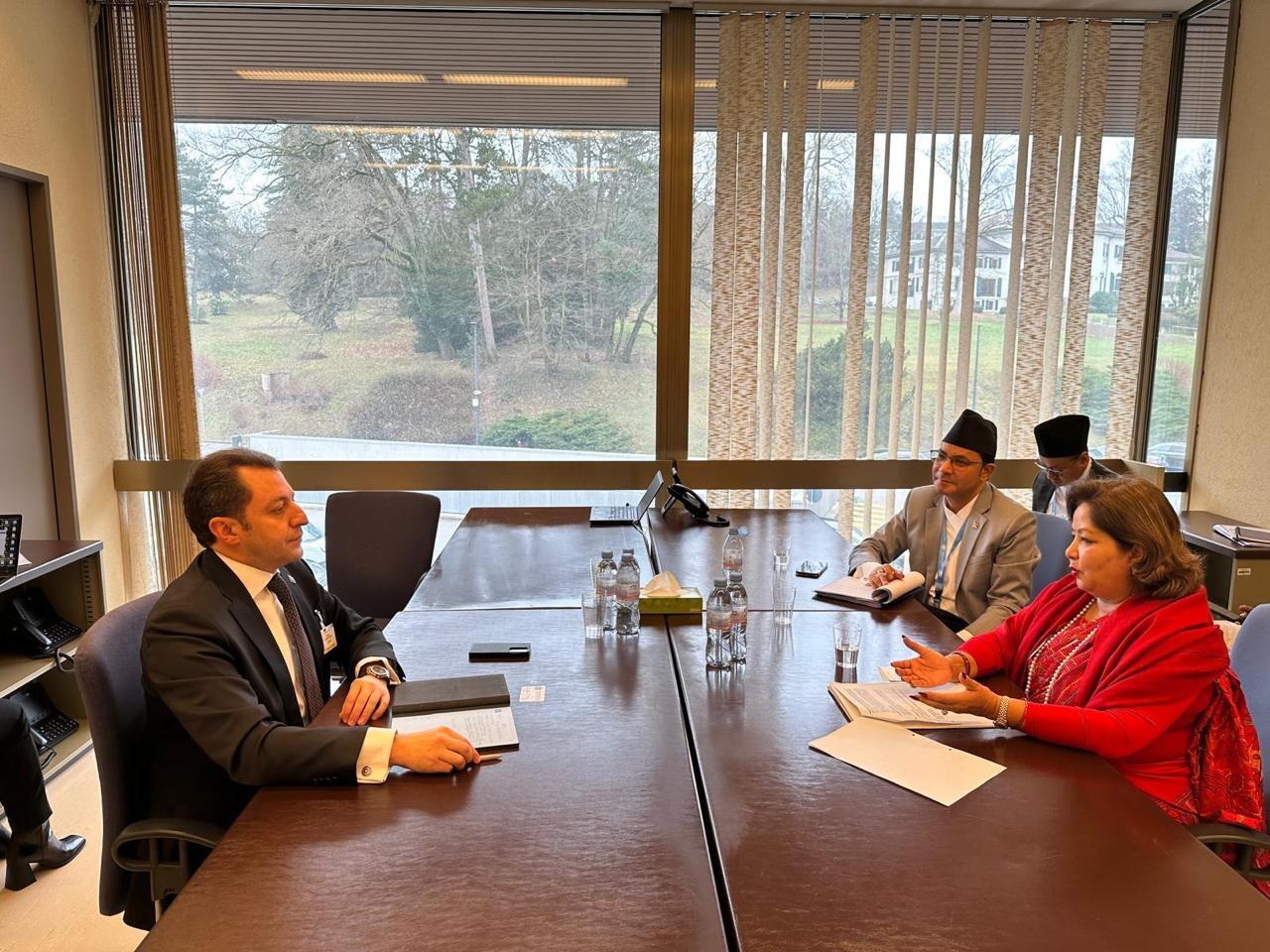 Эльнур Мамедов рассказал в Женеве о проделанной работе в рамках "Великого возвращения"