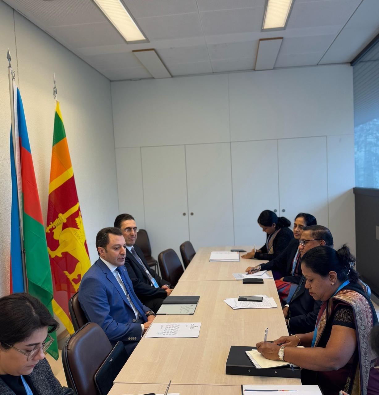 Эльнур Мамедов рассказал в Женеве о проделанной работе в рамках "Великого возвращения"