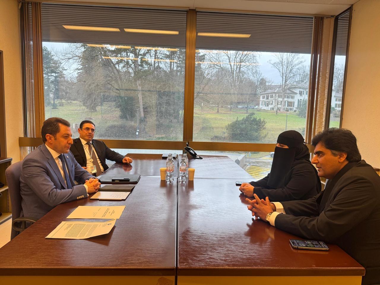 Эльнур Мамедов рассказал в Женеве о проделанной работе в рамках "Великого возвращения"