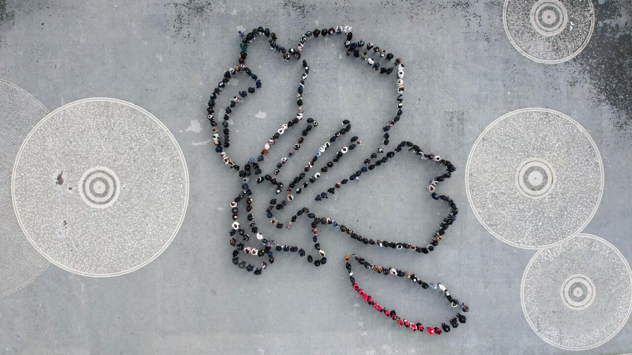 Азербайджанские волонтеры провели флешмоб "33 года Ходжалы"