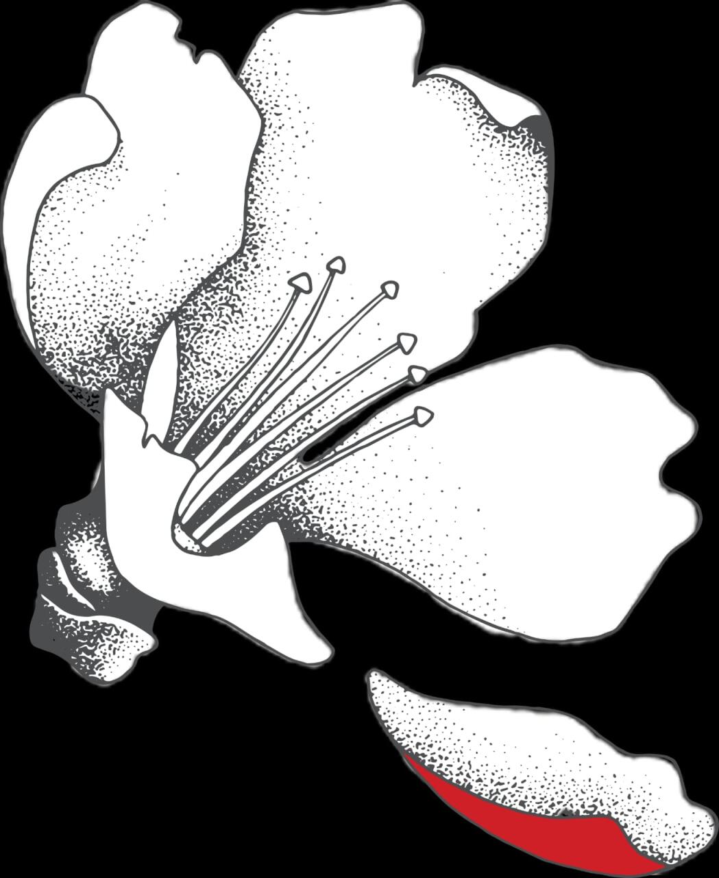 Dünyanın tanınmış jurnalistləri və siyasi şərhçiləri Xocalı soyqırımından danışıblar