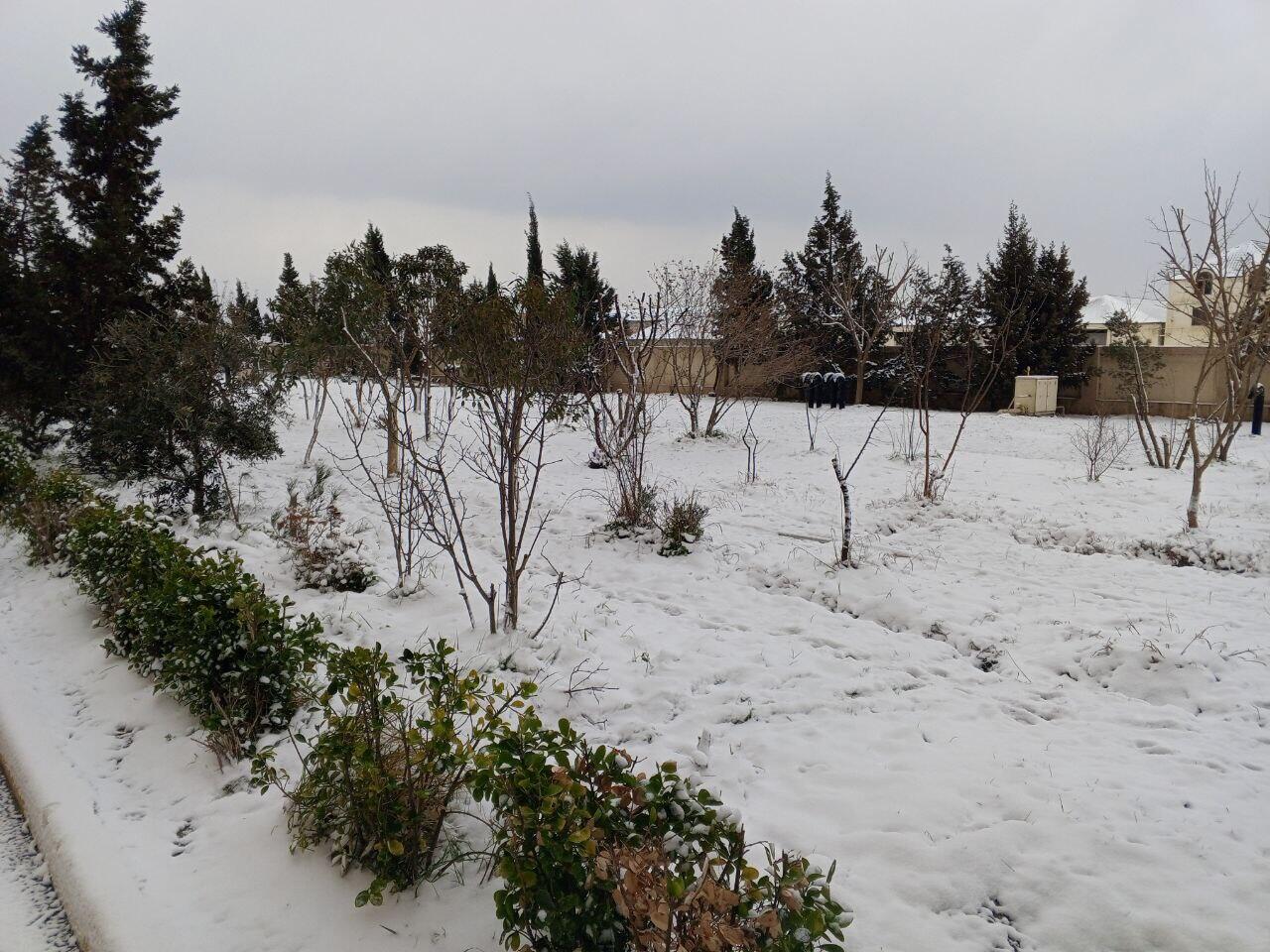 Баку снова замело