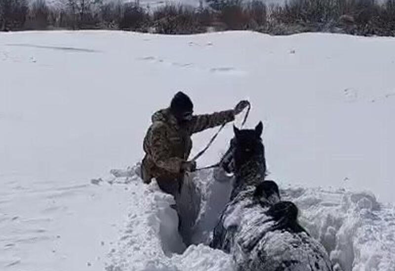 Сильнейшие снегопады в Казахстане