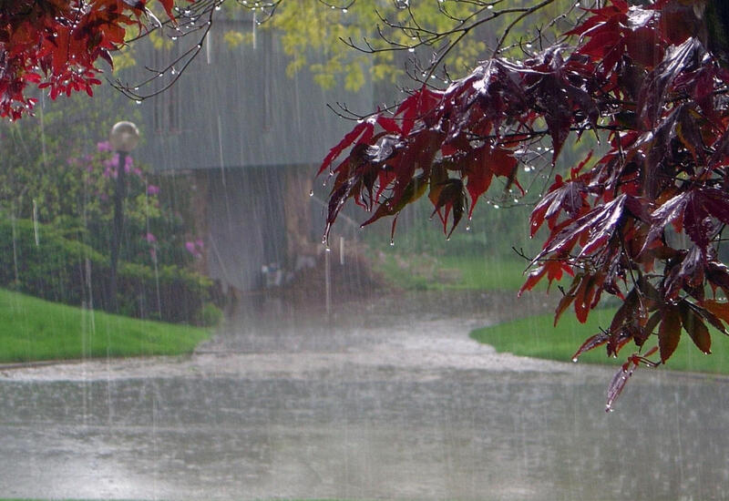 Sabah rayonlarda yağış yağacaq