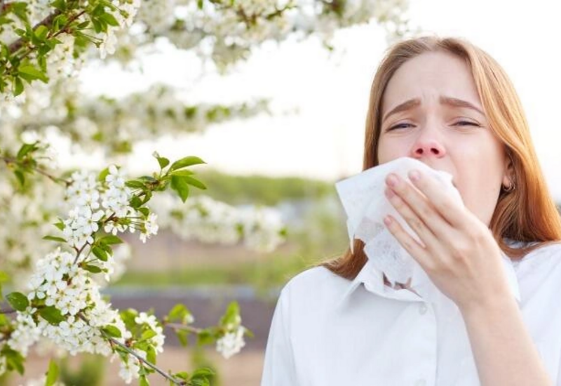Yazda tozcuqlara qarşı allergiyanın qarşısını necə almaq olar?