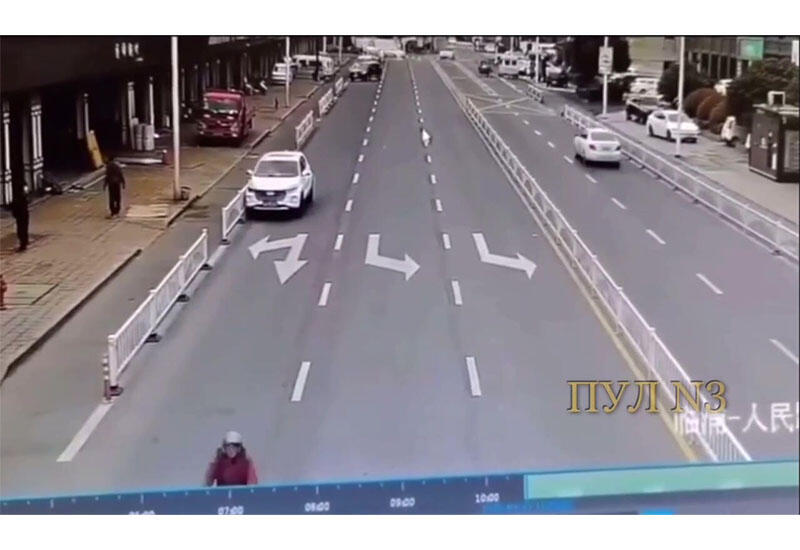 В Китае собака за рулем попала в ДТП