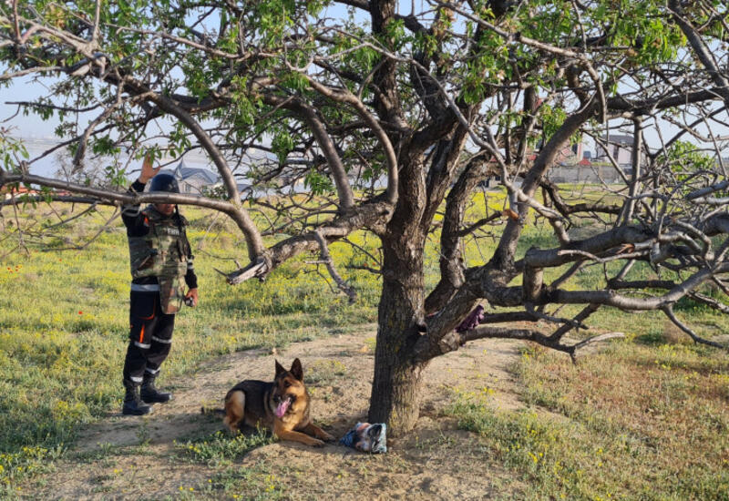 Опасная находка в Абшеронском районе