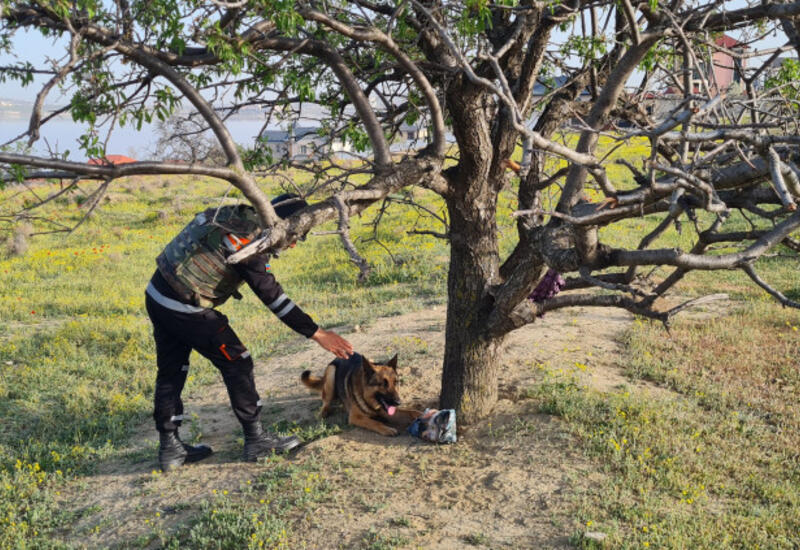 Abşeronda əl qumbaraları və partladıcılar aşkar edilib