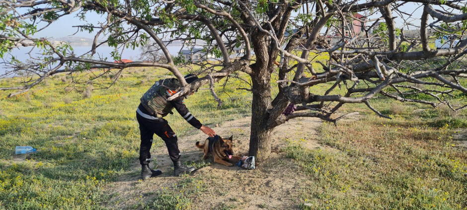 Опасная находка в Абшеронском районе