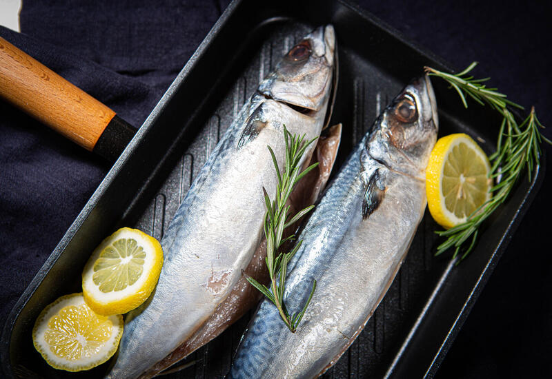 Во всем мире вымирает один вид рыбы